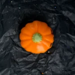 Професор Тикваров - Image 3